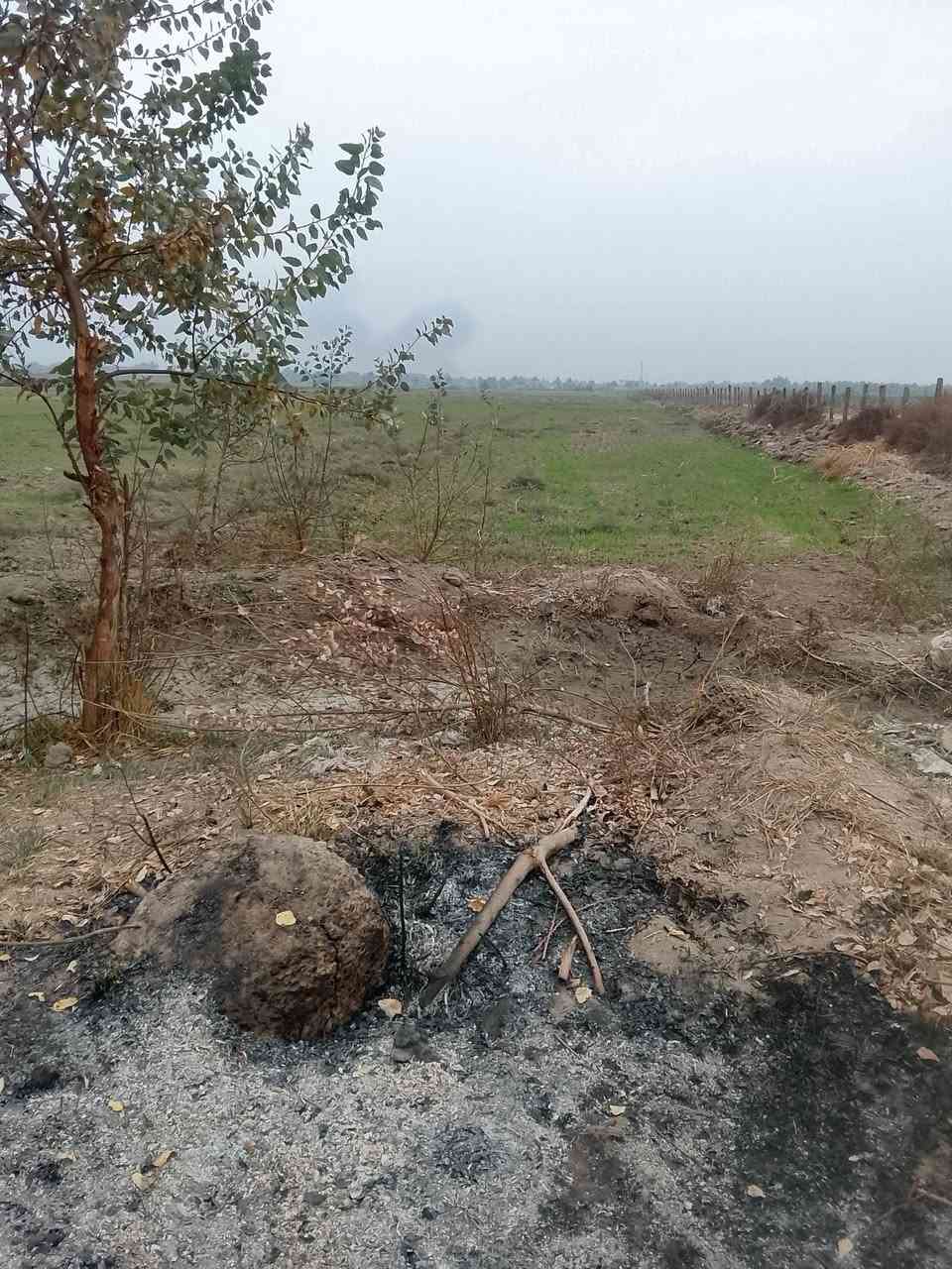 ارض زراعيه للبيع مساحه 4دونم طابو زراعي مباشره  تحويل تبعد عن الشارع العام حله ديوانيه ٤كليو منطقه الجذع للاتصال أو الاستفسار ***********
