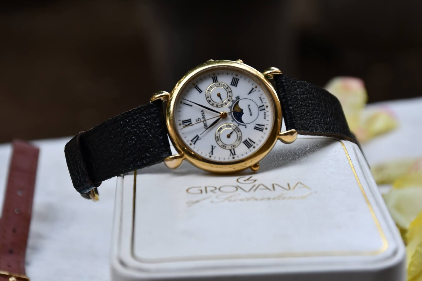 تحفه كروفينيا قمري سويسري بلعلبه كتلوك نضافه 95سعر طيب 
قطر 35


**إذا كنت صاحب هذا الإعلان وتريد حذفه لأي سبب، رجاءا أرسل رسالة إلى الدعم الفني**