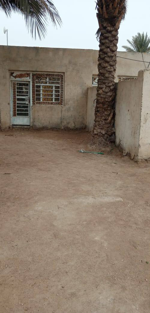 السلام عليكم
ارض زراعيه للبيع تبعد عن الشارع العام طريق دغاره شوملي 
كيلو 
مقابيل صور الشهداء 
 4 دونم طابو زراعي 
مزروعه حاليا 
وتحتوي على أشجار التين والرمان  و70 نخله حمال وانواع النخل  ارض زراعية فوك الجيد وكاع معدله صايره على جتف النهر صايره مباشر النهر رئيسي 

وماطورات كهربائيه عليها 
مايها نهرين من الجذول والضلميه طريق رسمي مع اساله 
من ضمنها بيت صاله 11متر وغرفتين نوم مع توفر كامل ملحقات البيت.

للاستفسار واتس اب او الاتصال 
***********
