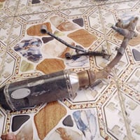 ماكس • كابريتر • رياضي