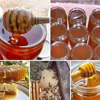 عسل طبيعي • نقي • مضمون