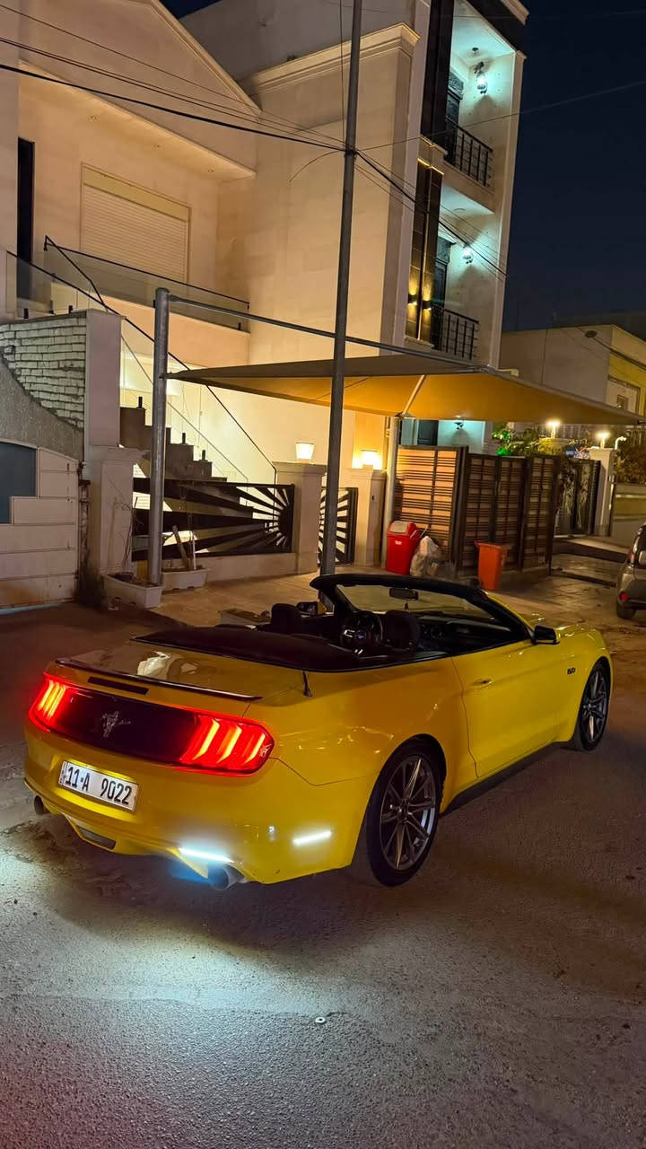 السلام عليكم

للبيع او مراوس حسب القناعه
mustang V6 2015🐎🚀

حادثها جاملغ خلفي نصه مصبوغ فقط بجم كبس بدون ايرباك

محرك وكير مكفولات من الفتح والتبديل

لون مميز اصفر 💛💛

رقم بغداد مميز بأسمي💵

مواصفات السته سلندر العاديه🔥
كامره خلفيه
كشن كهرباء
بصمه 
تشغيل عن بعد

ماشيه 97
مسويلها ادامه كامله يم علي الصميدعي
مبرمجه سيفتي يم طلال 4brothers
تخم تاير جديد
دسكات جديده
السياره حلوه ومصروف عليها وجديده كلش معتني بيها

للاستفسار
***********
