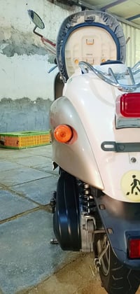 دراجة مصرية • ناصرية مركز • كفالة عامة