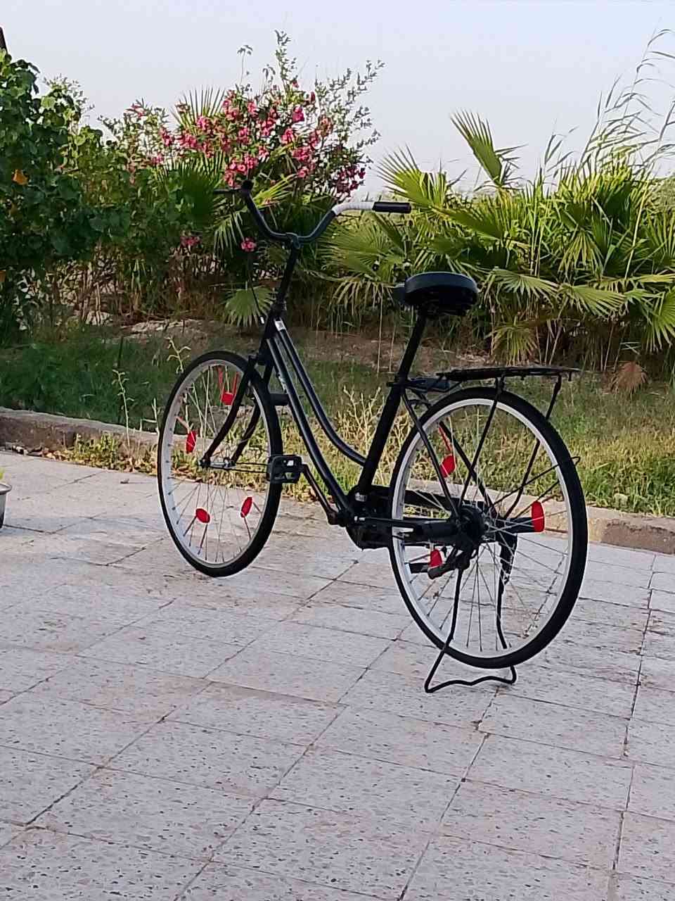 باسكل للبيع موديل 2022شركه اوفج سعر خاص مكان ناصريه


**إذا كنت صاحب هذا الإعلان وتريد حذفه لأي سبب، رجاءا أرسل رسالة إلى الدعم الفني**