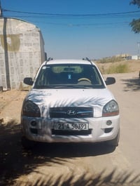 توسان • ٢٠٠٩ • بدون صبغ