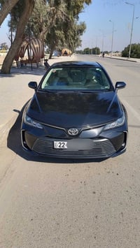 كورلا خليجي • ٢٠٢٢ • رقم اربيل