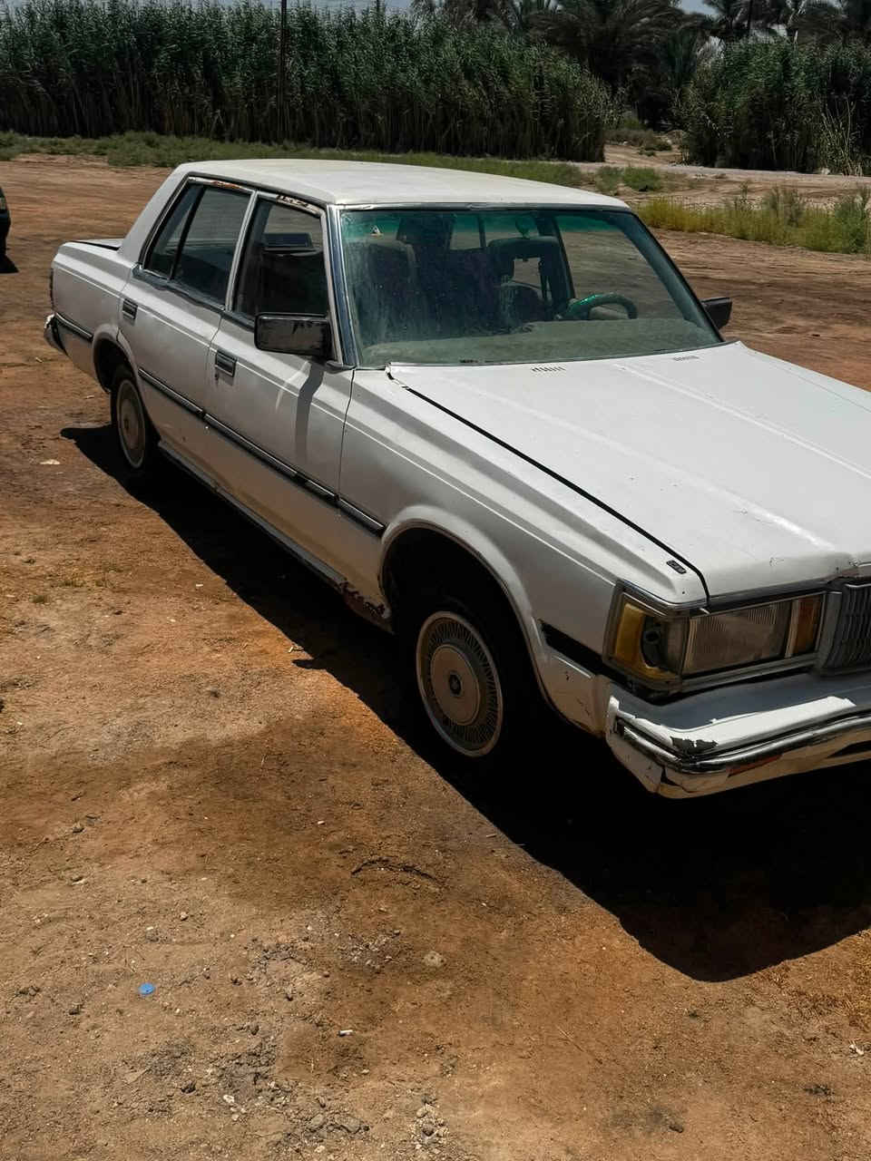 سوبر موديل 1982 رقم بغداد الماني تحويل مباشر محرك كايم كير عادي تخم تاير سياره حلوه السعر 17$مكانها رمادي /***********
