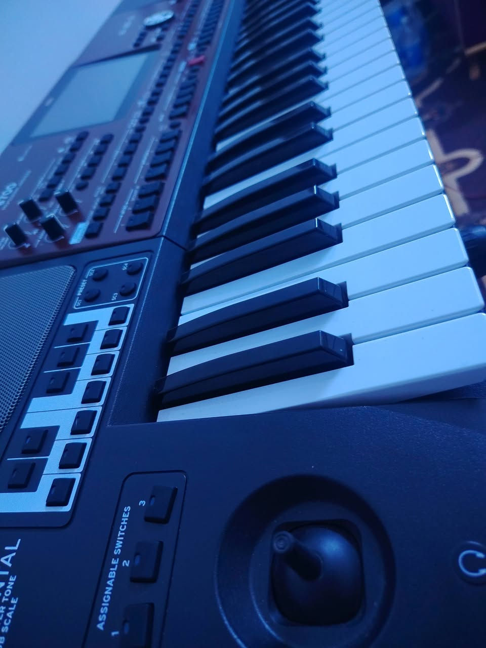 جاهز بعده بل كارتون للبيع قفله 9 ورقات مانزل ولا ربع المكان بغداد العضميه الشراي يجي خاص ويدلل شباب الموشراي لا يتعبني تحياتي لجميع


**إذا كنت صاحب هذا الإعلان وتريد حذفه لأي سبب، رجاءا أرسل رسالة إلى الدعم الفني**