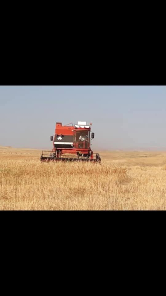 سڵاو دەراسە فەرگەسن مۆدێل ۹۱رەقم کەرکوك بۆفەرۆشتن ‌ژم***********
