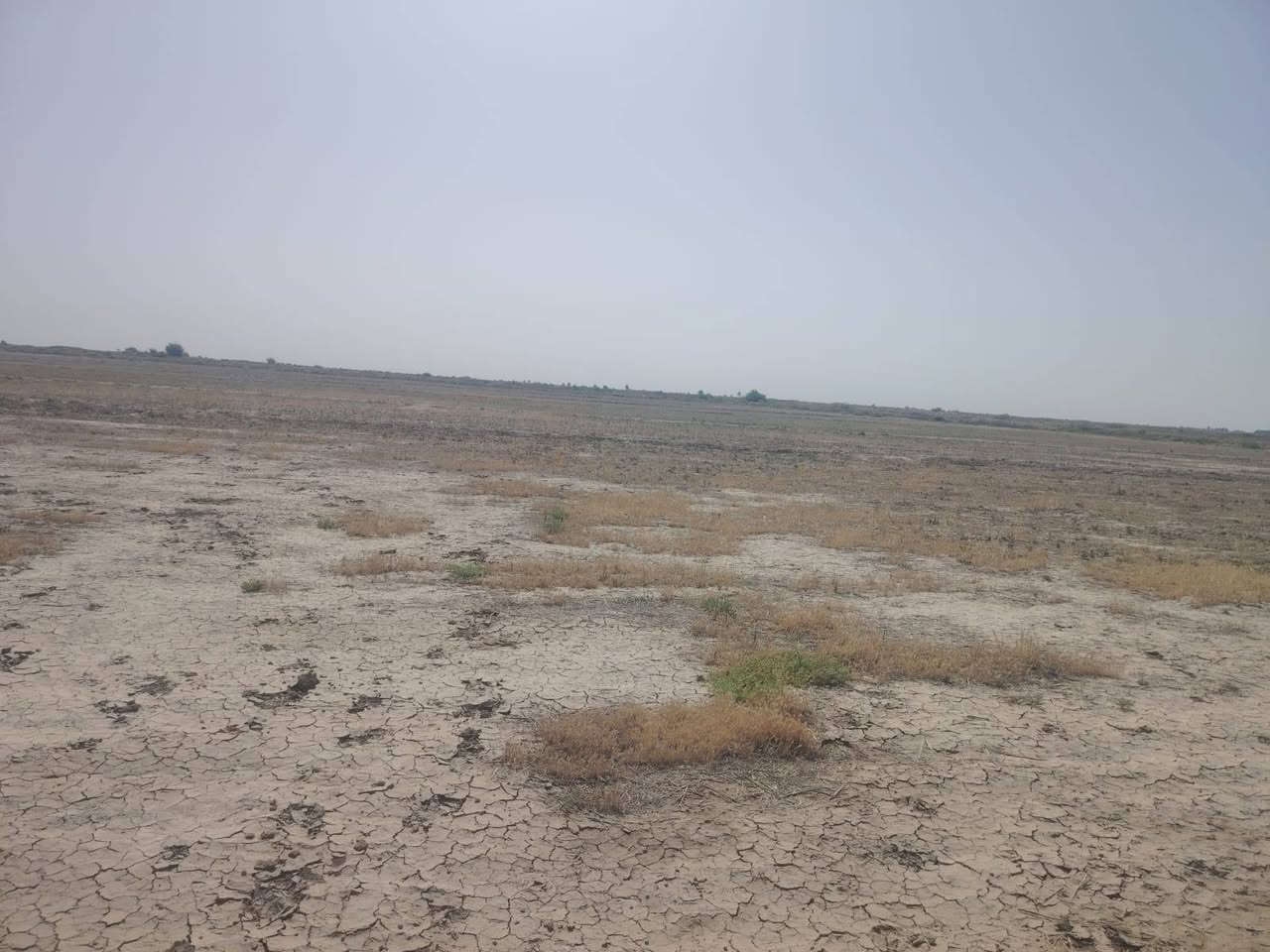 ارض زراعيه للبيع قرب السيد ابو لماش المساحه ١٨دونم اتواصل على الرقم***********
