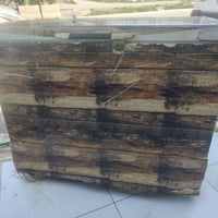 مجمدة • تجميد فول • شهربان