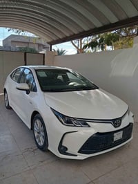 كورلا فول • ٢٠٢٥ • رقم بغداد