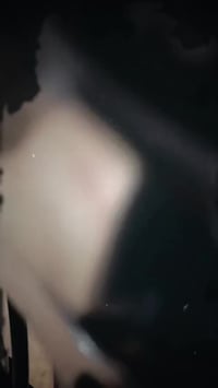 كلك • نضيفه • ماصار شهرين