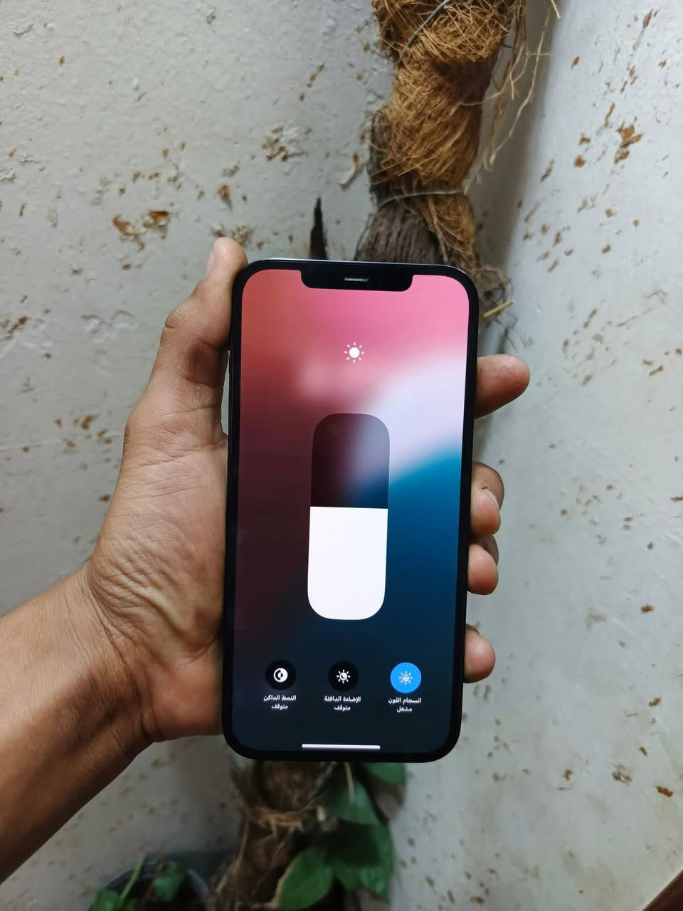 السلام عليكم
للبيع أيفون ١٢ برو ماكس 
جهاز مبدله شاشه وبطاريه وكالة شرط وكالة 
الذاكرة ٢٥٦
بطاريه ١٠٠


**إذا كنت صاحب هذا الإعلان وتريد حذفه لأي سبب، رجاءا أرسل رسالة إلى الدعم الفني**