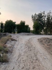 بابل جبلة رشايد • ٢٠ دونم • بيتين حديث