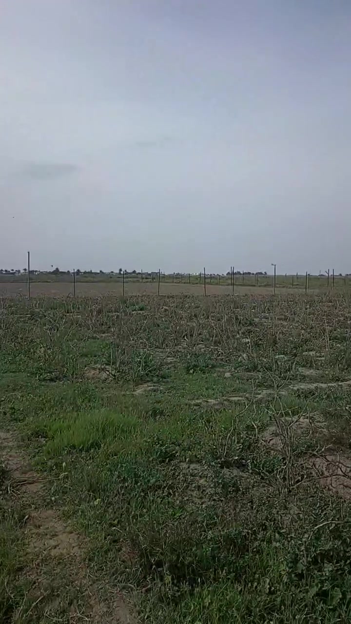 يتوفر الدينا قطع اراضي مساحات مختلفه شكد تريد ابيعلك واصل كافه الخدمات وقريبه ع جسر البوبالي الحديد تريد دونم او الف متر ابيعلم ترهم مزرعه لو سكن ماء وكهرباء  واصلها نوع العقار زراعي سند ٢٥ وسعر المتر ٣٥ وبي مجال
العنوان جويبه البوبالي الشاميه قرب جسر البوبالي الحديد طريق ٧ متر الاستفسار أكثر *********** حارث مؤيد
يتوفر الدينا قطع اراضي مساحات مختلفه شكد تريد ابيعلك واصل كافه الخدمات وقريبه ع جسر البوبالي الحديد تريد دونم او الف متر ابيعلم ترهم مزرعه لو سكن ماء وكهرباء  واصلها نوع العقار زراعي سند ٢٥ وسعر المتر ٣٥ وبي مجال
