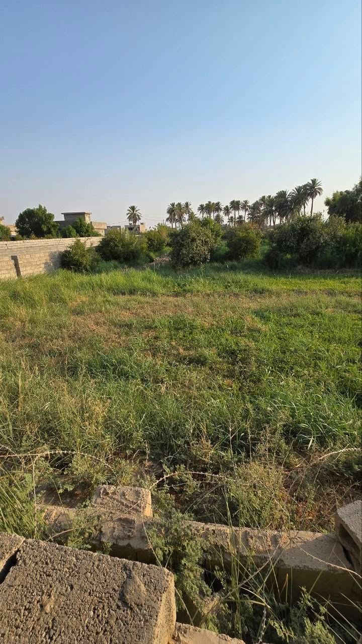 للبيع قطعة أرض زراعية مميزة ٤ - ديالى / ناحية كنعان
قطعة أرض بموقع راقي وهادي، تبعد بس ٤٠٠ متر عن الشارع العام، مساحتها ٣٨٠٠ متر مربع، وتصلح لمزرعة أو استراحة زراعية
تفاصيل الأرض:
• الموقع: ديالى - ناحية كنعان
المساحة: ٣٨٠٠ متر
المسافة من الشارع العام: ٤٠٠ متر
'امامها نهر وشارع مبلط
توصلها مي وكدرت توصلها كهرباء
سند زراعي 25
* طبيعة حلوة وموقع مثالي لعشاق الهدوء والزراعة
للاستفسار والمعاينة: ***********
