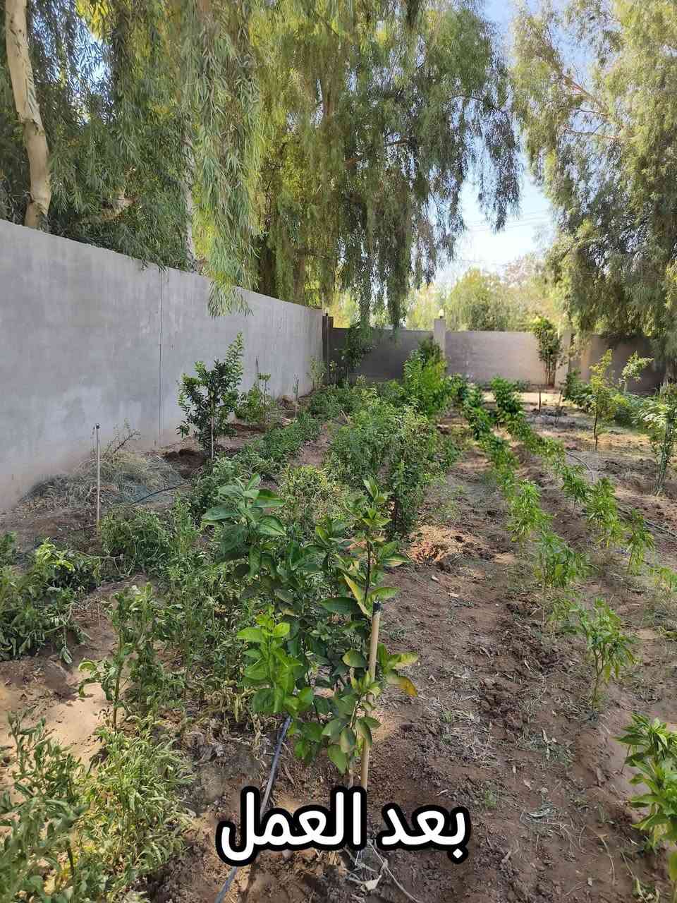 نعمل كافة أعمال الحدائق في قضاء طوز خورماتو 🌿

- تصميم وتنفيذ الحدائق المنزلية والعامة.
- زراعة الثيل الطبيعي والصناعي.
- زراعة الأشجار والورود ونباتات الزينة.
- تركيب منظومات الري الحديثة.
- صيانة وتأهيل الحدائق بأفضل جودة وأسعار مناسبة.

للاستفسار أو الحجز، اتصل على:
📞 ***********
📞 ***********
