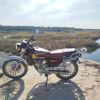 موديل 24 • شكل 25 • اوراق كامله