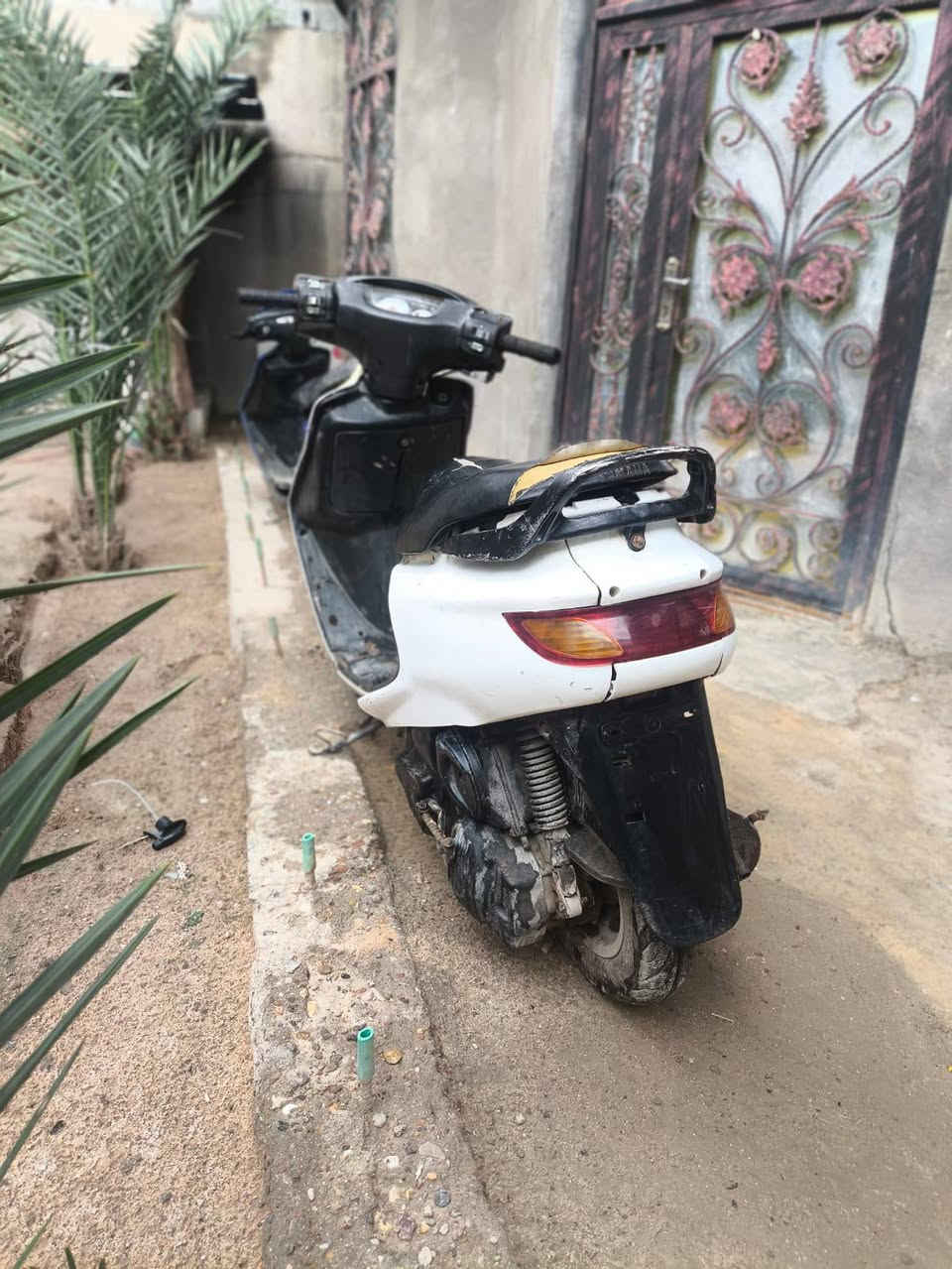 سلام عليكم فراشه للبيع....دراجه مجفته حلوه ونظيفه وناعمه النقوصات اللي بيه فقط ستاند وسط وواير كيلومتر عداد سعره 275 وبيه مجال للشراي يتفضل خاص وبالخدمه


**إذا كنت صاحب هذا الإعلان وتريد حذفه لأي سبب، رجاءا أرسل رسالة إلى الدعم الفني**