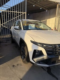 توسان • ٢٠٢٦ • رقم اربيل