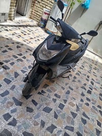 سكنس كوري • فحل • طافية