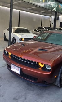 جالنجر ٢٠٢٣ • بلاك توب ٦ سلندر • تترقيم شمالي