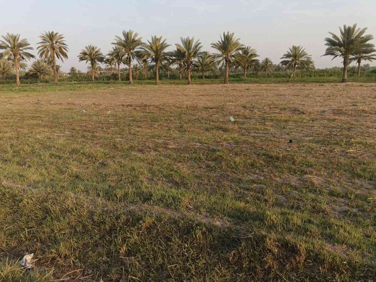 سلام عليكم عرض جديد🚩
قطعه ارض المساحه دونم (2500)متر 🌷
طابو زراعي سند)(25)🌷🚩
الخدمات كلها متوفره 🚩🌷
كاع زراعيه حلوة تريد دونم فارغ تريد دونم بيه 14نخله بكيفك تختار ينباع واحد بس منهن 🚩🌷
الوجه (50والنزال50) 🚩🌷
(العنوان منطقة سيد سهل ) 
السعر (67)وبيه مجال  🚩🌷
الخدمات كلها متوفره ماء وكهرباء وماء سكي 🚩🌷
***********

