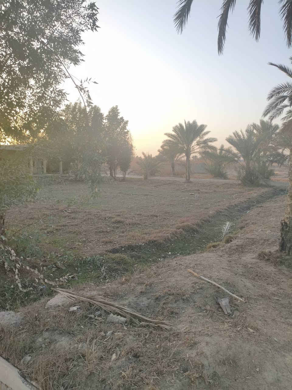 ١٠دونم مع دار تباع ٥ او كامله حسب الطلب طابو المحموديه سند مستقل تبليط كهرباء وماء كامله مع نخيل تقع في اليوسفيه القصر الاوسط ***********
