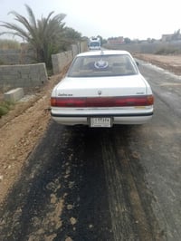 مسطرة • مكفولة • رقم الانبار