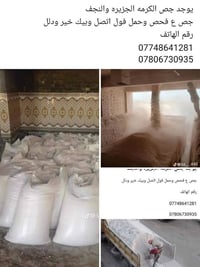 جص • الكرمه • النجف
