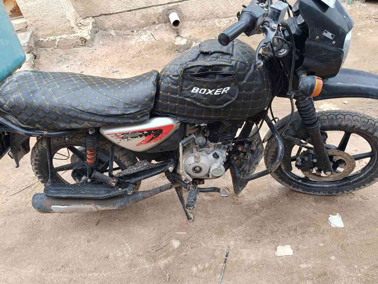 السلام عليكم بوكسر موديل 2021سنويه ورقم باسمي 
2021 سعرها 1500
رقمي ***********
