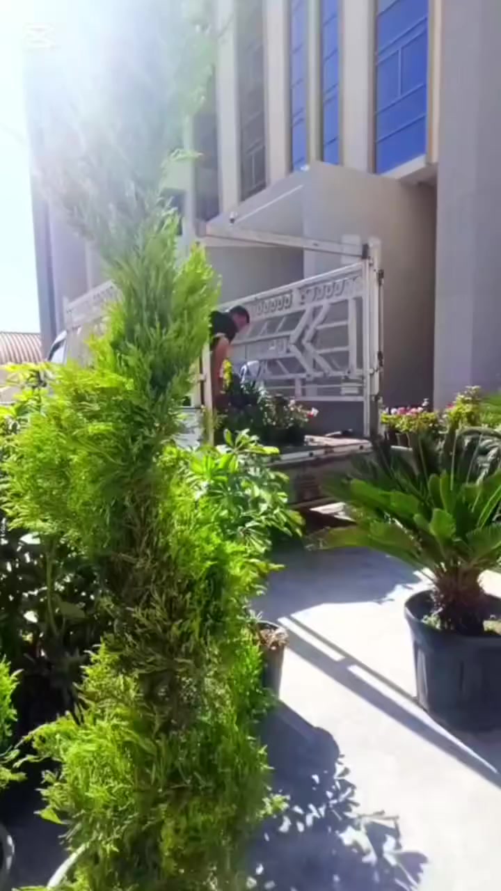 #فندق_النجف_الدولي 🌱🎋
#هندسة_وتصميم_الحدائق


**إذا كنت صاحب هذا الإعلان وتريد حذفه لأي سبب، رجاءا أرسل رسالة إلى الدعم الفني**