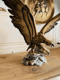 نسر نابولي ايطالي • يدوي • ٣٠سم