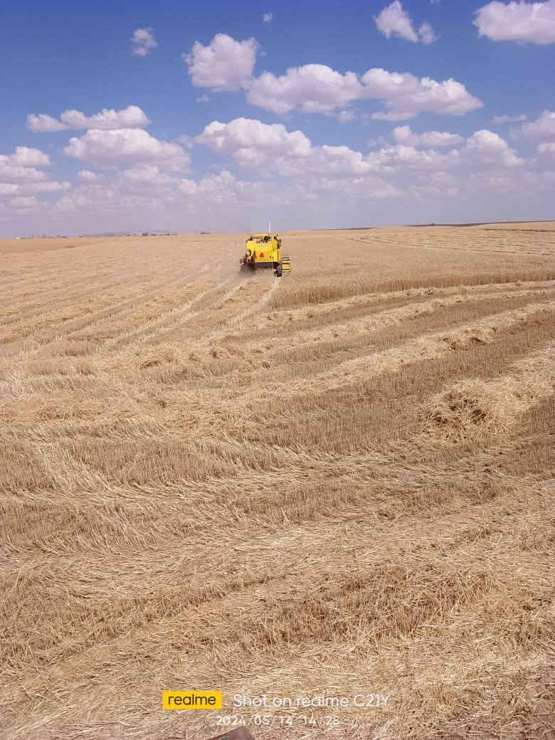 دراسه للبيع
حاصوده نيهولند 2006 خمسه بلم هيدروا طبله 17 جاهزه مجهزه مال جناي السعر وباقي التفاصيل الاتصال على الرقم
***********
