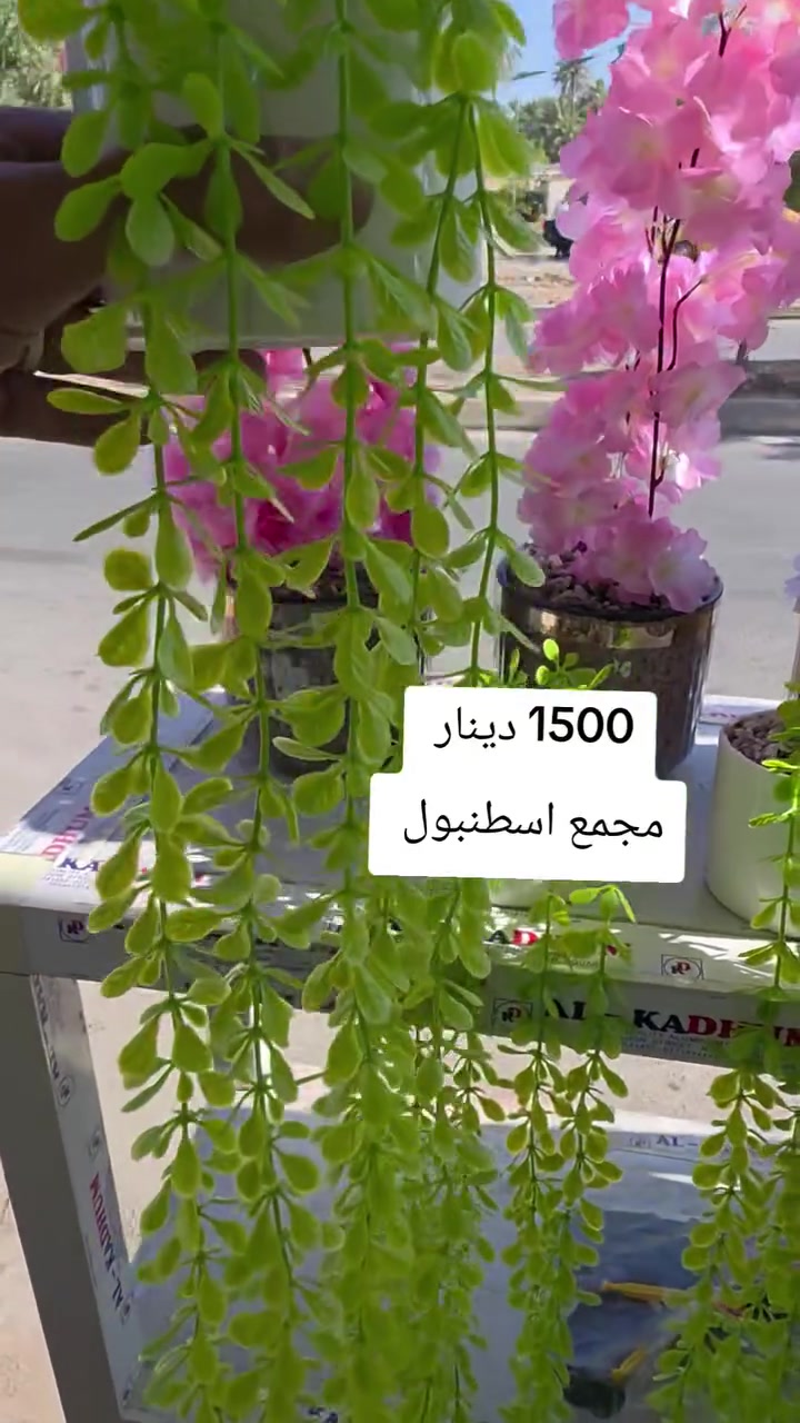 الف ونص  ارخص الأسعار مجمع اسطنبول مفتحين من 3 الى 12 مساء خانقين مقابل معمل النسيج مجاور دلسوز البزاز لا يوجد توصيل


**إذا كنت صاحب هذا الإعلان وتريد حذفه لأي سبب، رجاءا أرسل رسالة إلى الدعم الفني**