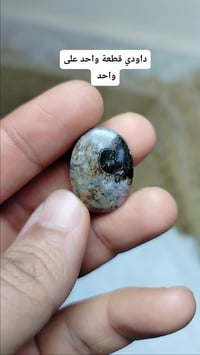 داودي • قطعة مرتبة