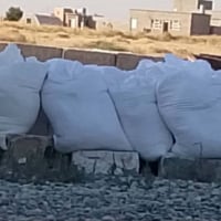 جص • مخمور • ١٣٠تنكة
