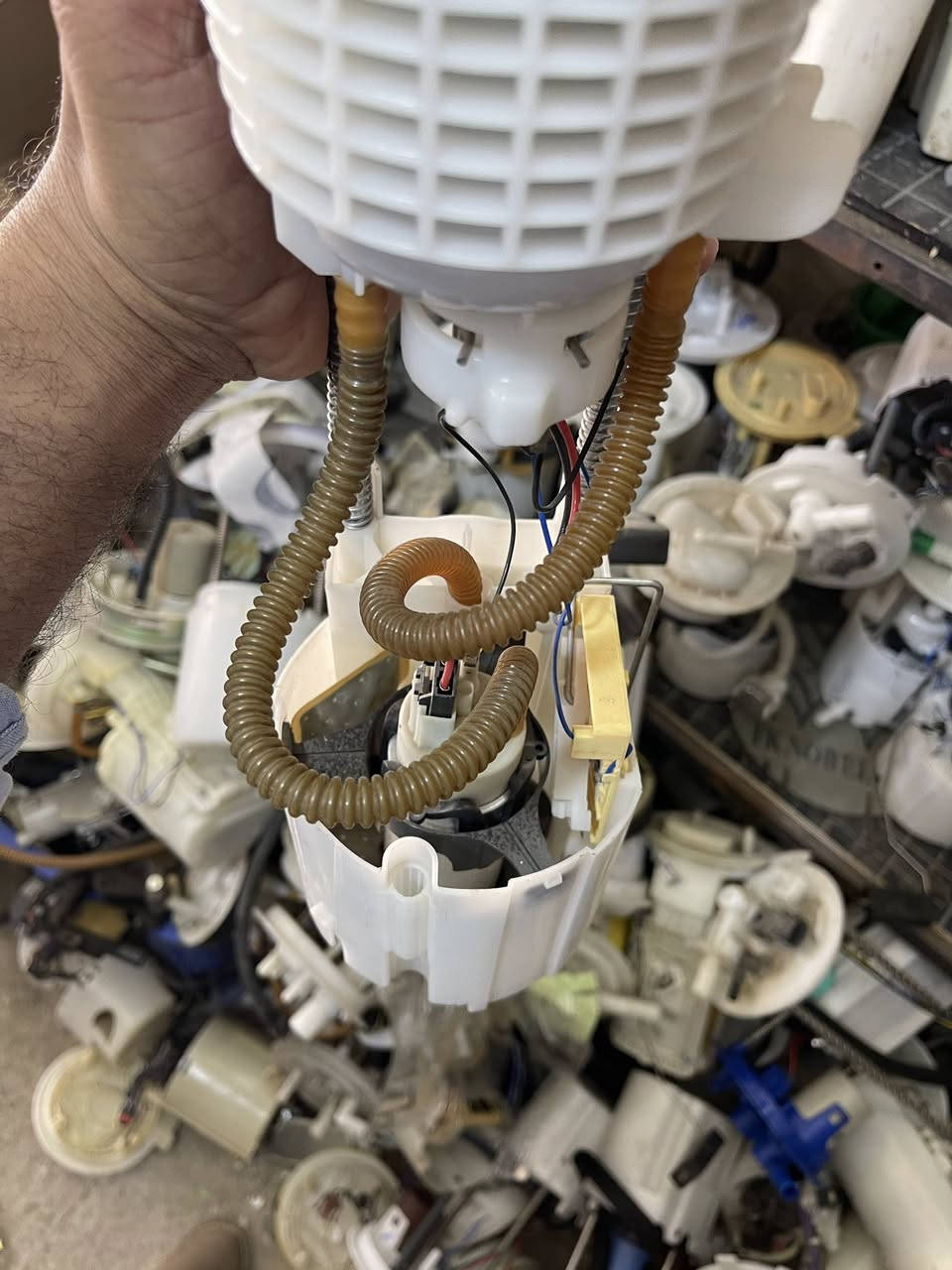 قواعد فيت بم دوج دورنكو قديم اصلي تفصيخ ***********
