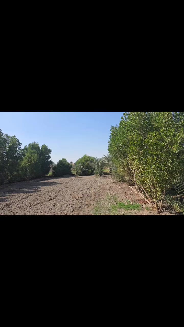 أرض زراعية من 900-1000 بمنطقة ام حكروص مسافة ١كيلو متر عن مدرسة بلال الحبشي وتبعد عن جسر المالح 4كم مسافة ٧ دقائق
الاتصال ***********
