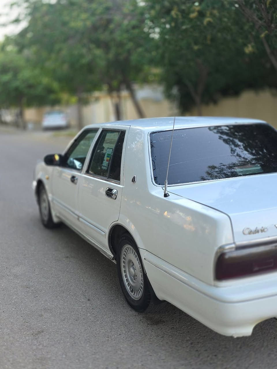 بەناوی خوای گەورەومیهرەبان ئەم سیارەبۆفرۆشتن نیسان سترک مۆدیل 2001بەشەرتی گێڕومکینەواکسل،تبریت ساردووگەرم بەشەرت،تحیوولوخرامەبەشەرت،سەنەوی بەسەرچوە،رقم اربیل،تابڵیی توندوتۆڵەچوارتایەی تازەی لەزیرایە،دووباڕچەی بۆیاخە یک چملخی قرچیکی بچوکی هەیە،ناونیشان کلار،سعرخوارهەمووبازاڕ35گڵاومعاملە
***********
***********
