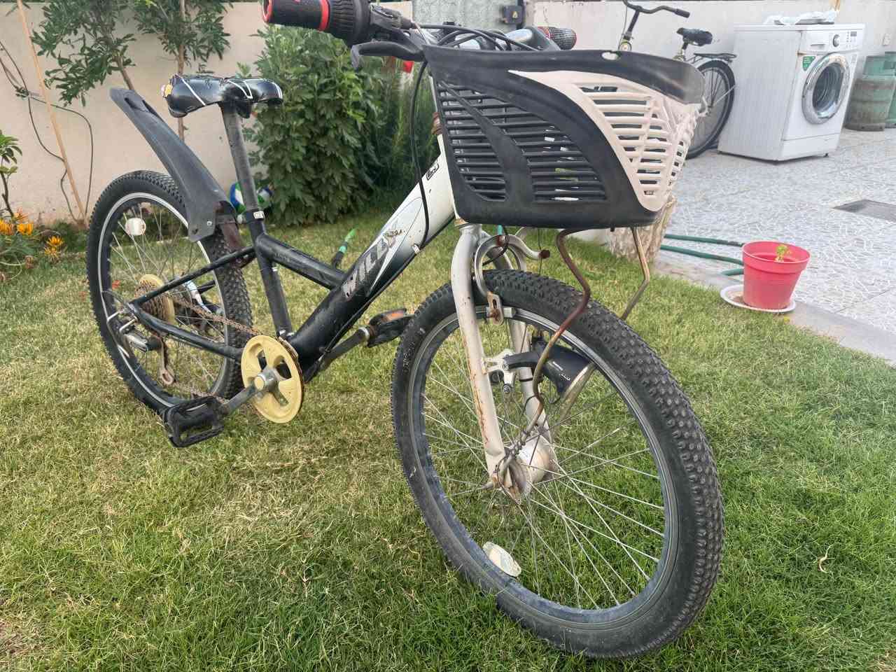 ‎بايسكل حجم ٢٢ و ٢٦ باله (له نگه) 
١٣٠ هه ردووك بيكه وه‎ أربيل, العراق


**إذا كنت صاحب هذا الإعلان وتريد حذفه لأي سبب، رجاءا أرسل رسالة إلى الدعم الفني**