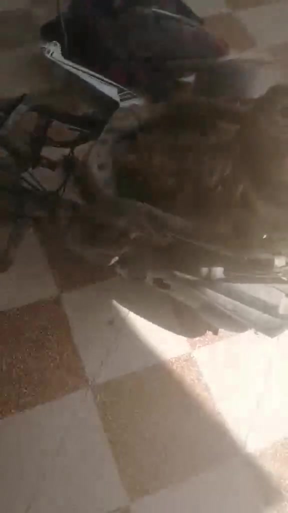البيع 25 الف


**إذا كنت صاحب هذا الإعلان وتريد حذفه لأي سبب، رجاءا أرسل رسالة إلى الدعم الفني**