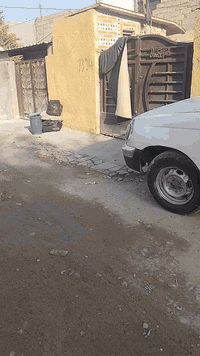 بيت البيع مساحه 100م وجهه 5 نزال 20 فرع ثاني عن شارع العام من جهه مدرس...