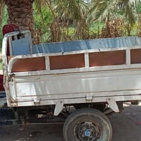 ستوته • مكفوله • شراي خاص