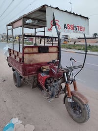 ستوته ديوان • ٢٠٢٠ • أوراق كاملة