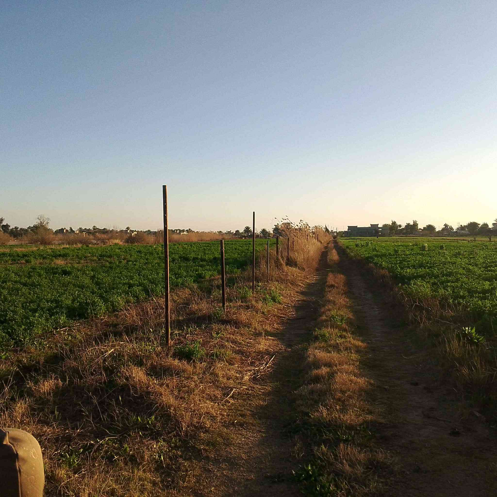 كاع للبيع مساحة8دونم طابو زراعي سند25 بالسجر تريدها كلها او دونم او دونمين عادي
#سعر_الدونم22_قريبه_من_النهرالسجر خمس 
دقائق من الفلوجه  قرب نهر الاروائي 100متر


**إذا كنت صاحب هذا الإعلان وتريد حذفه لأي سبب، رجاءا أرسل رسالة إلى الدعم الفني**