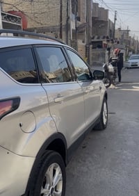 فورد سكيب • ٢٠١٨ • مكينة مكفولة