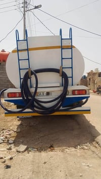 دنكر اسكانيا • حوضية • مكفولة