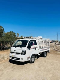 بنكو • ٢٠١٨ • رقم بابل